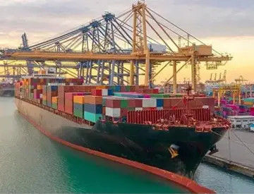 καλή τιμή 7x24H αποθηκεύοντας υπηρεσίες διοικητικών μεριμνών στο λιμένα Shekou σε απευθείας σύνδεση