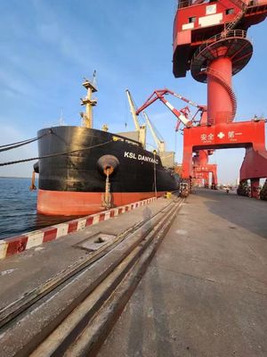 ποιότητας FOB διεθνής αποστολέας ωκεάνιου φορτίου Lianyungang Xingang στη Σιγκαπούρη εργοστάσιο